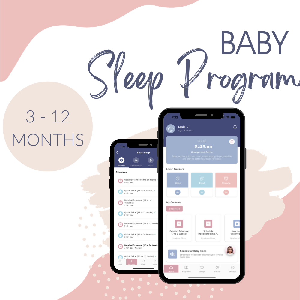Baby Sleep Program (3-12 Months)