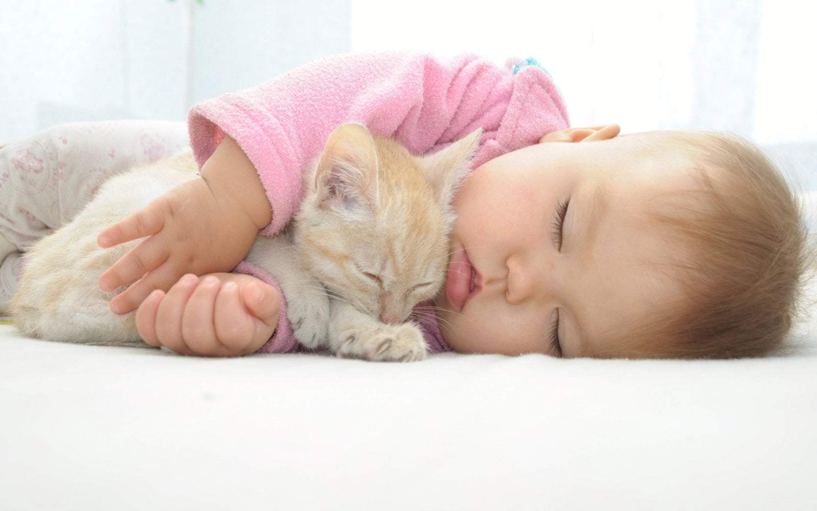Baby Catnapping
