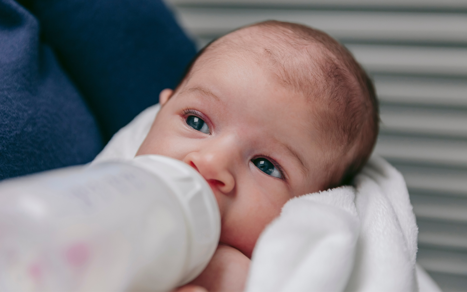 The ins and outs of bottle feeding