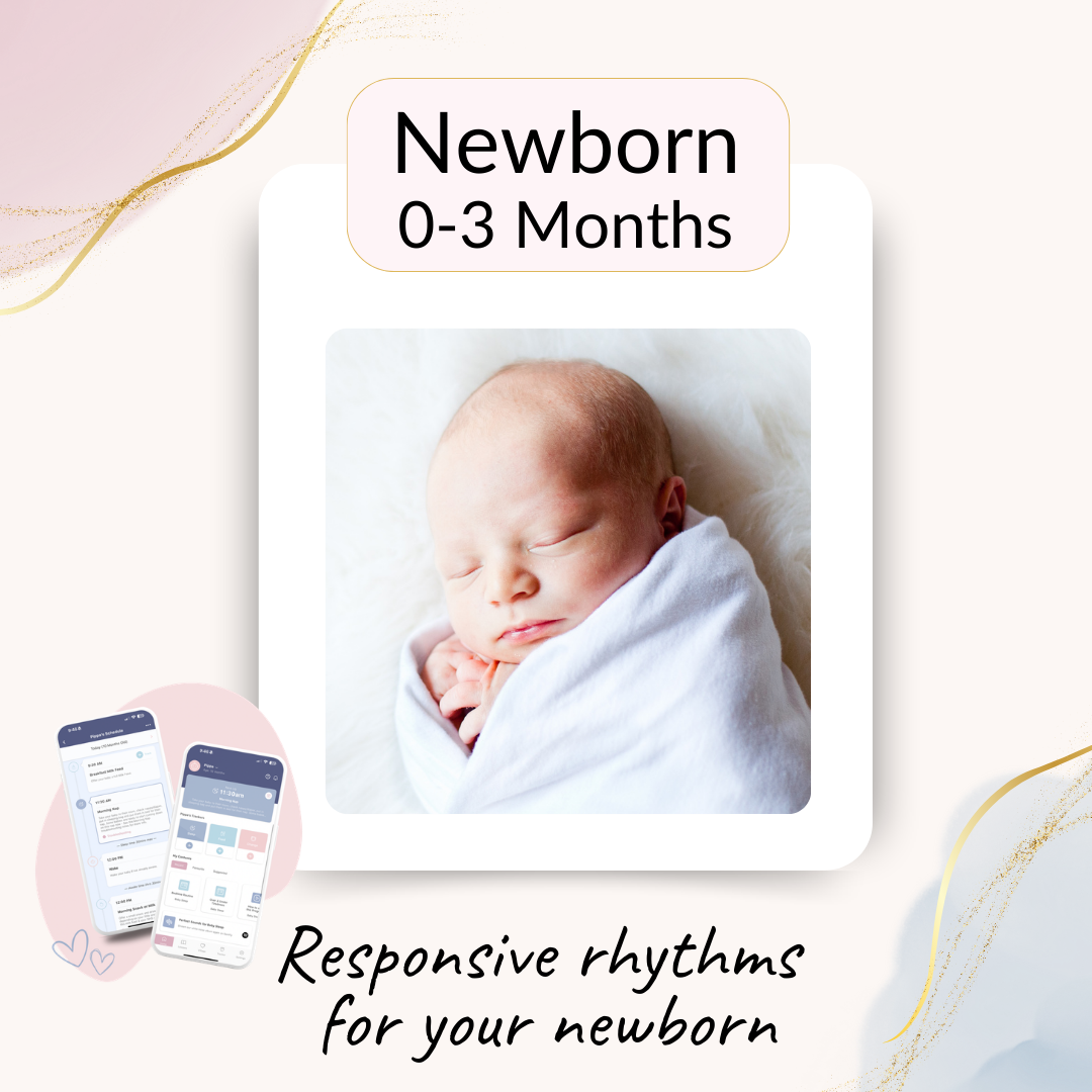 Newborn Sleep Program (0-3 Months)