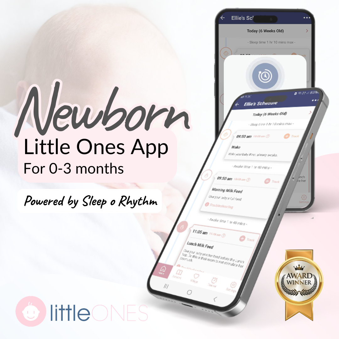 Newborn Sleep Program (0-3 Months)