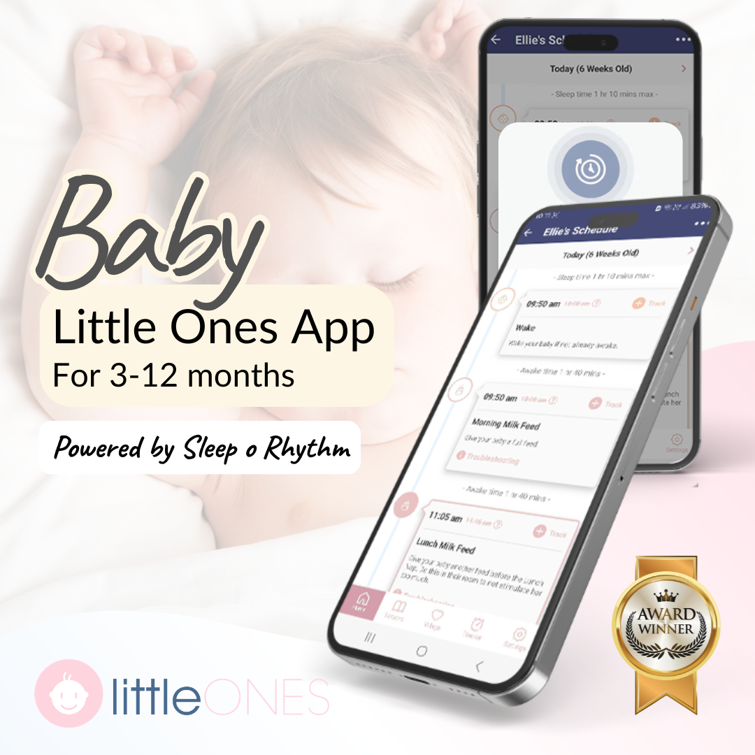 Baby Sleep Program (3-12 Months)