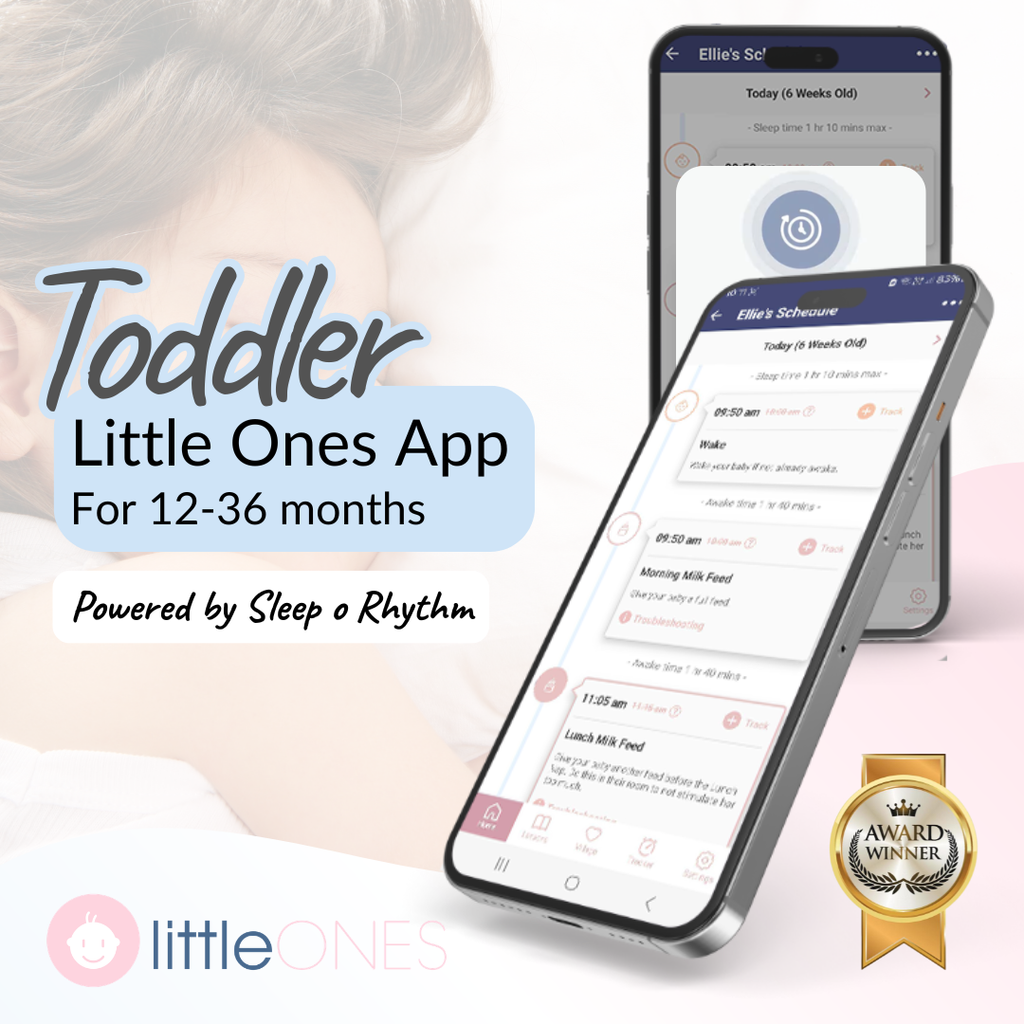 Toddler Sleep Program (12-36 Months)