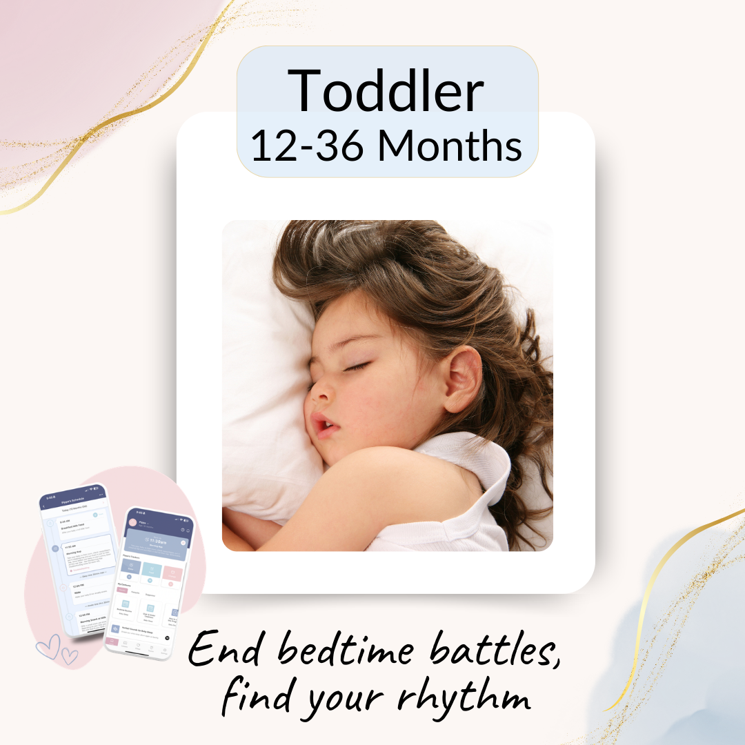 Toddler Sleep Program (12-36 Months)